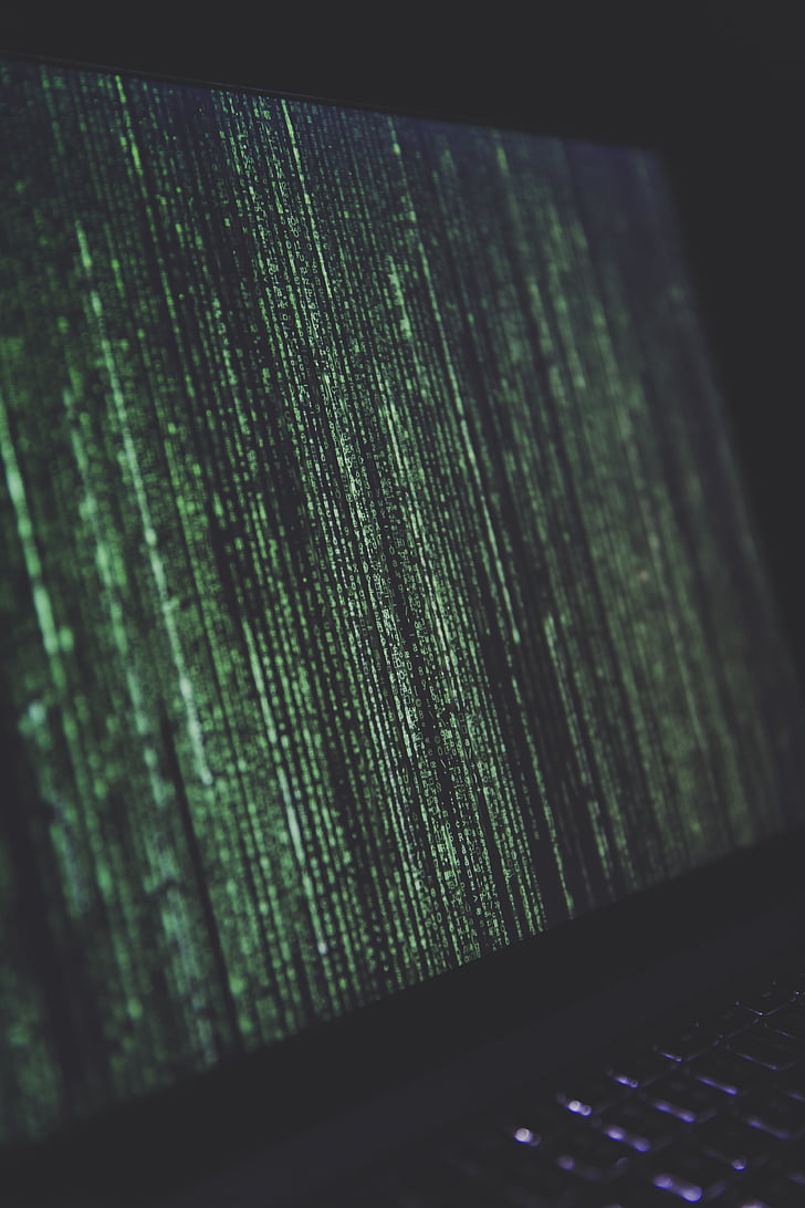 小程序,互聯(lián)網(wǎng),計算機,編程,開發(fā),網(wǎng)頁